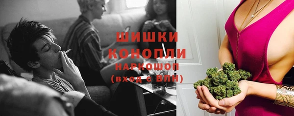 крисы Касимов
