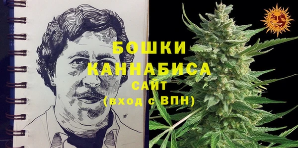 крисы Касимов