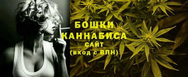 крисы Касимов