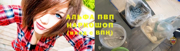 крисы Касимов
