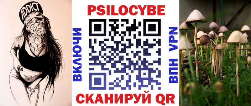Купить  Починок  Псилоцибиновые грибы мухоморы 
